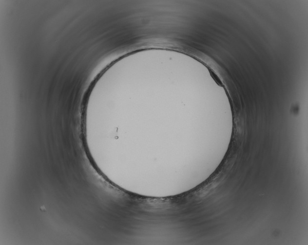 X0000088881147200707061404