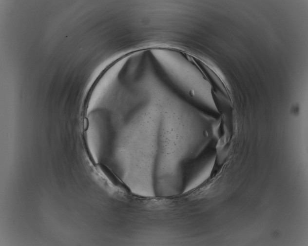 X0000088881148200707061404