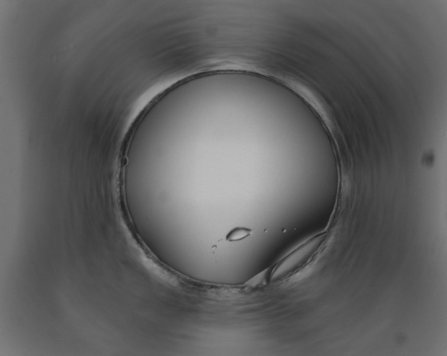 X0000088881149200707061404
