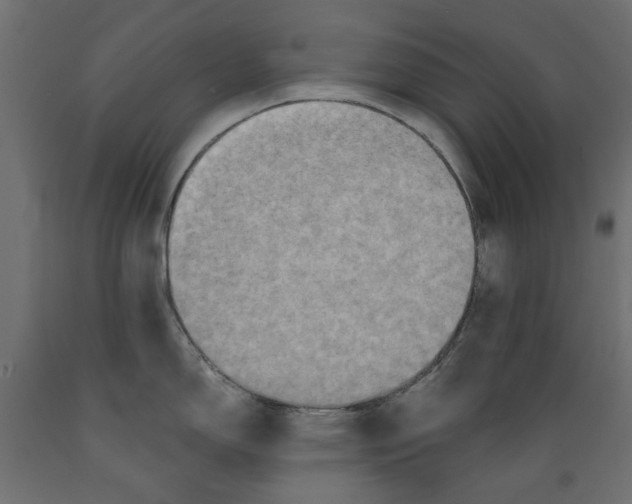 X0000088881150200707061404