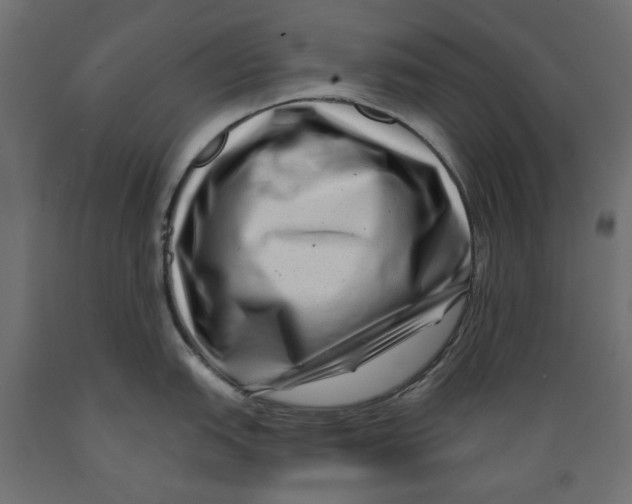 X0000088881151200707061404
