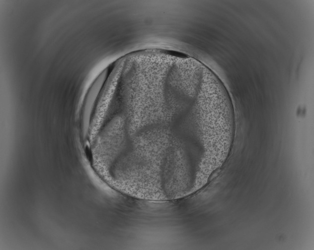 X0000088881152200707061404