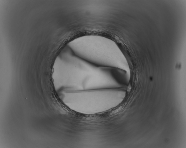 X0000088881153200707061404