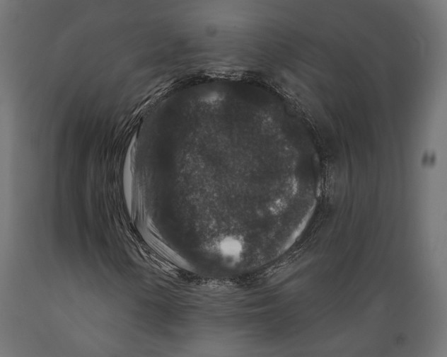 X0000088881154200707061404