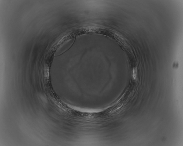 X0000088881155200707061404