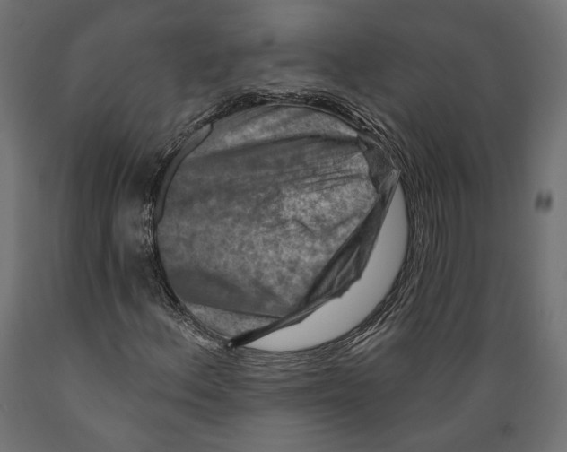 X0000088881156200707061404