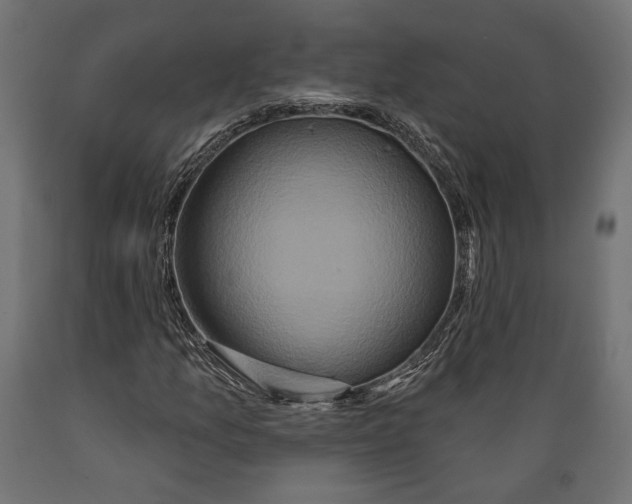 X0000088881157200707061403