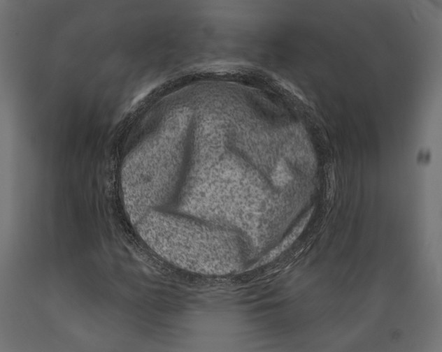 X0000088881158200707061403