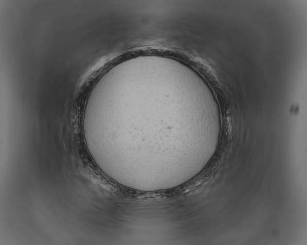 X0000088881159200707061403