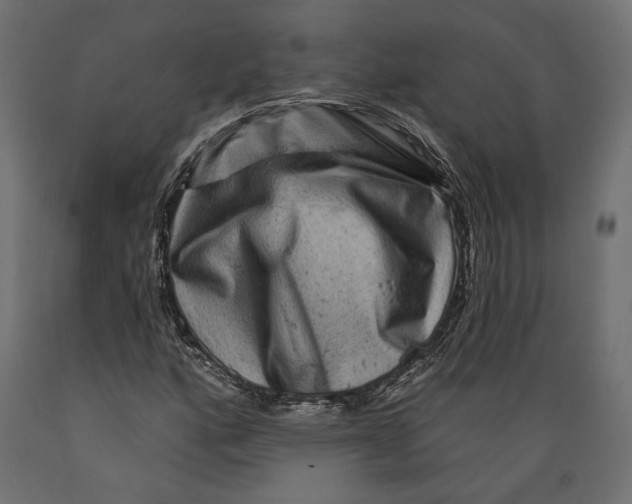 X0000088881160200707061403