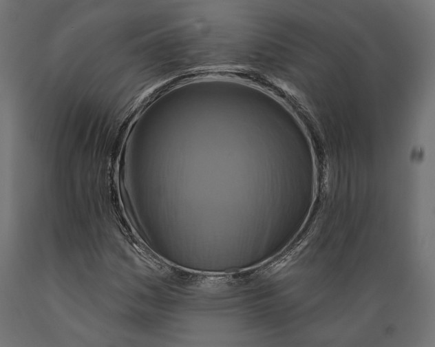 X0000088881161200707061403
