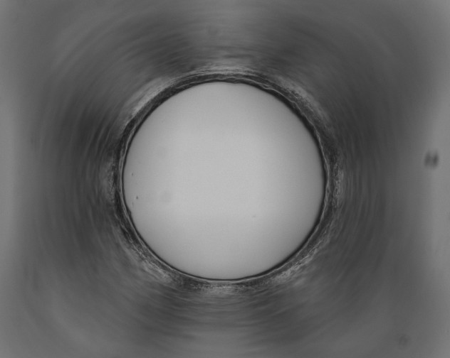 X0000088881162200707061403