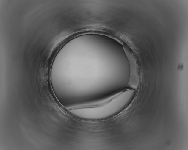 X0000088881164200707061403