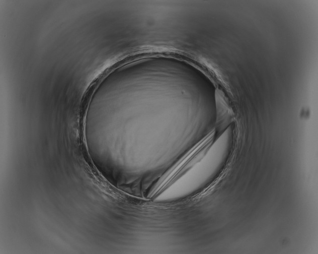 X0000088881165200707061403