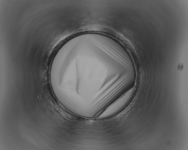 X0000088881166200707061403