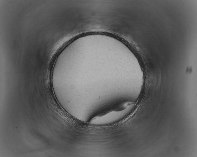 X0000088881167200707061403