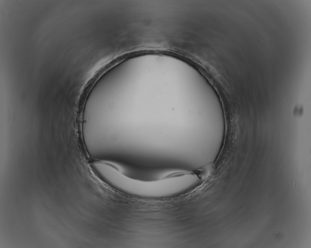 X0000088881168200707061403