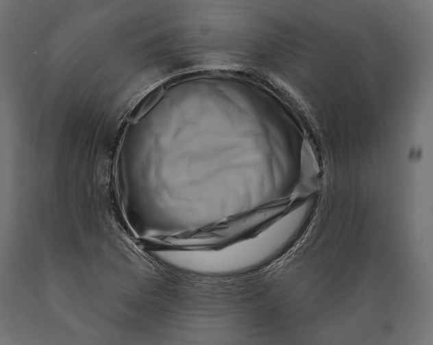 X0000088881169200707061403