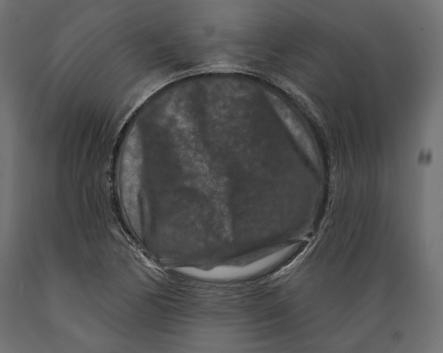 X0000088881170200707061403
