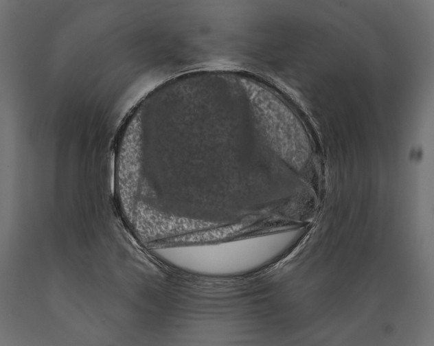 X0000088881171200707061403
