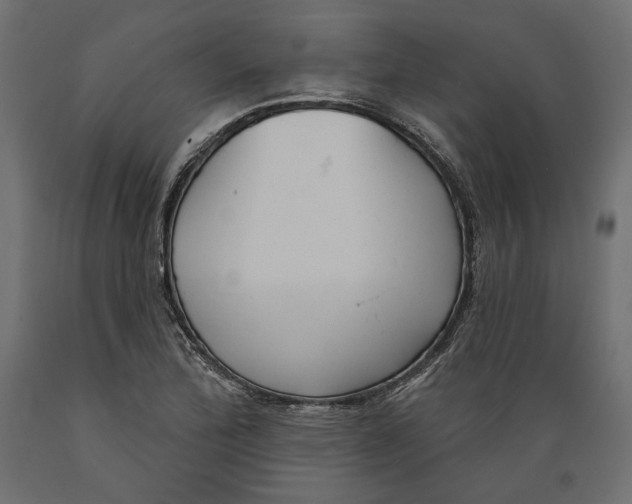 X0000088881172200707061403