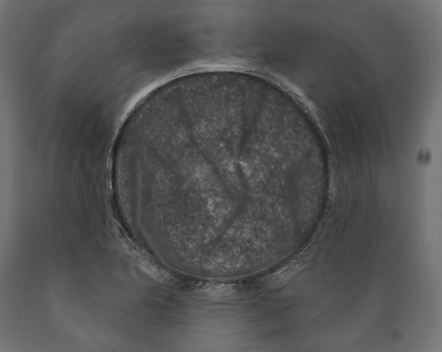 X0000088881174200707061403