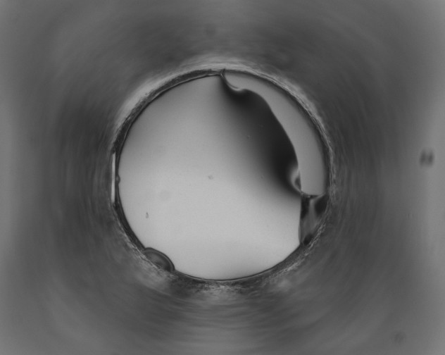 X0000088881175200707061403