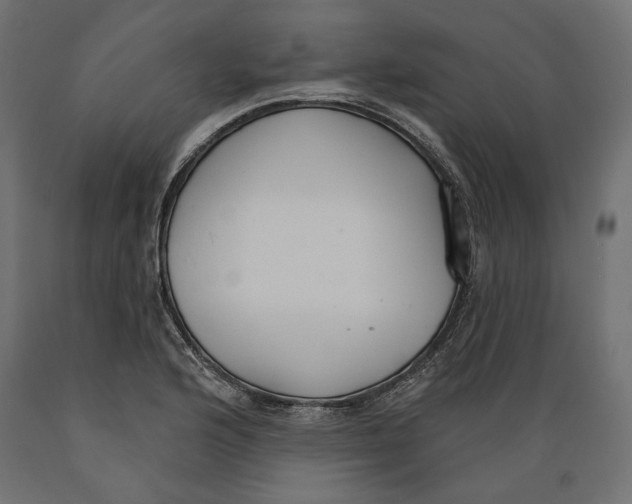 X0000088881176200707061403