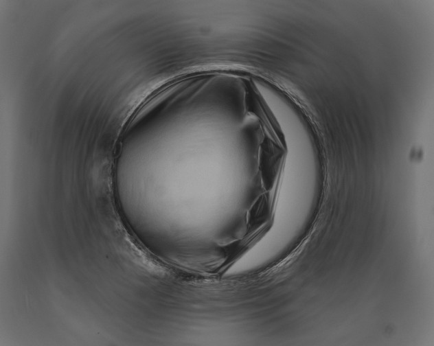 X0000088881177200707061403
