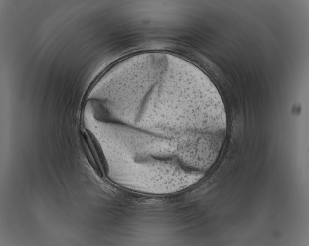 X0000088881178200707061403