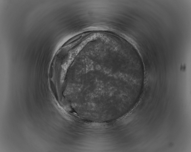 X0000088881179200707061403