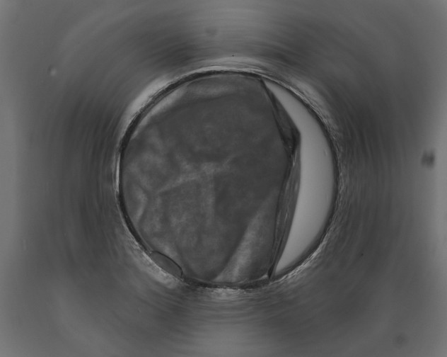 X0000088881180200707061403
