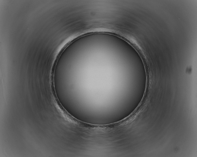 X0000088881181200707061403