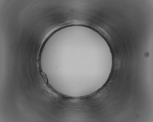 X0000088881182200707061403