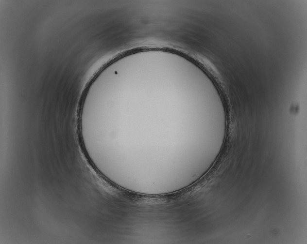 X0000088881183200707061403