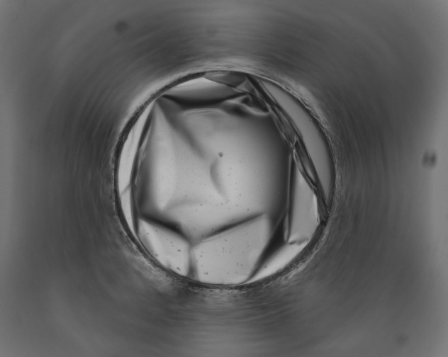 X0000088881184200707061403