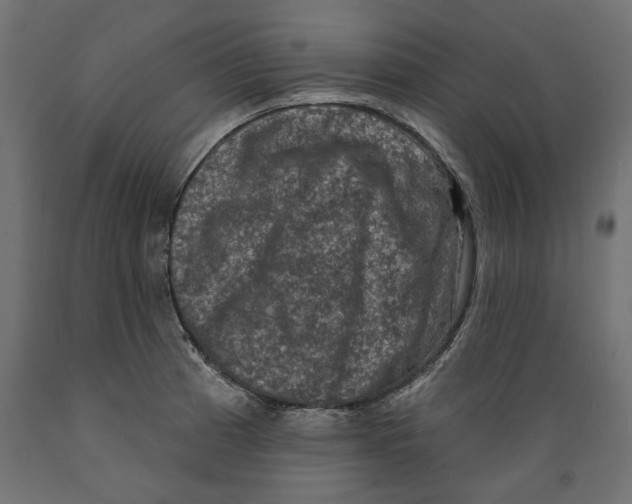 X0000088881185200707061403