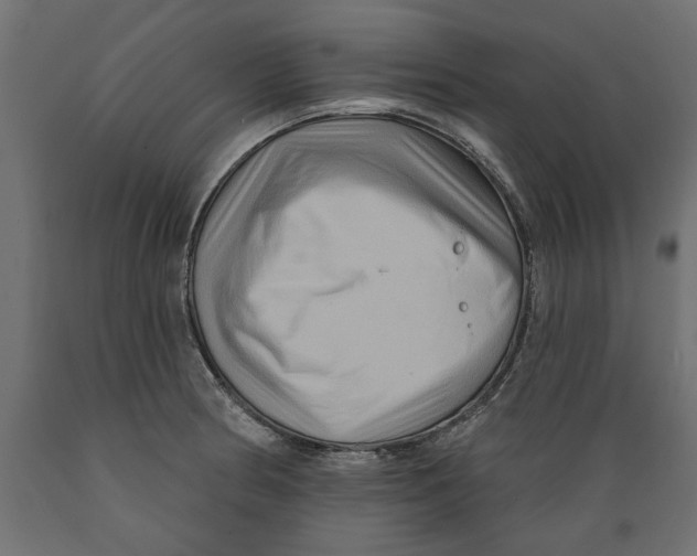 X0000088881186200707061403