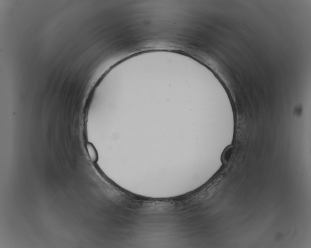X0000088881187200707061403