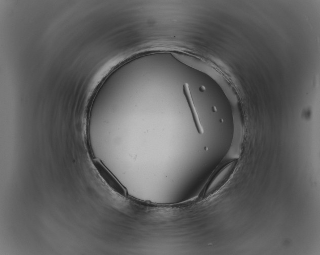 X0000088881188200707061403