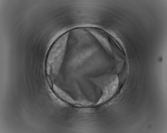X0000088881189200707061403