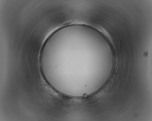 X0000088881190200707061403