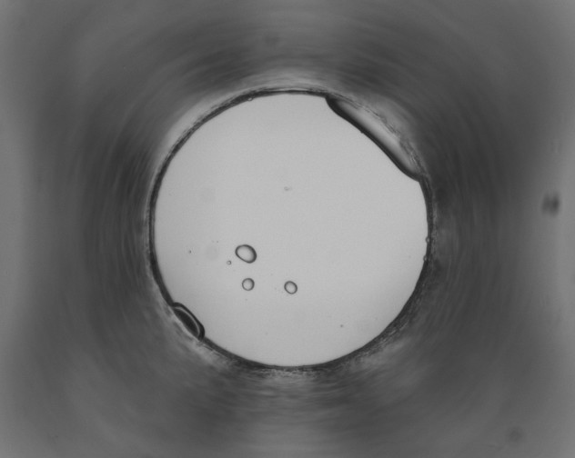 X0000088881191200707061403