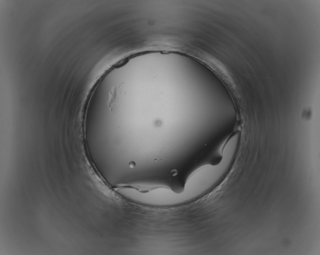 X0000088881192200707061403