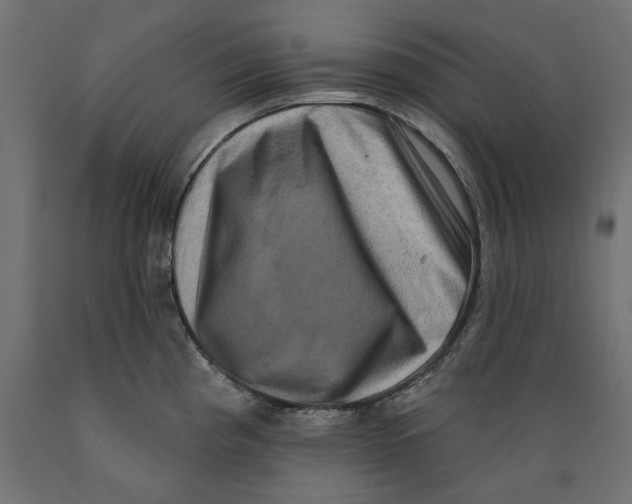X0000088881193200707061403