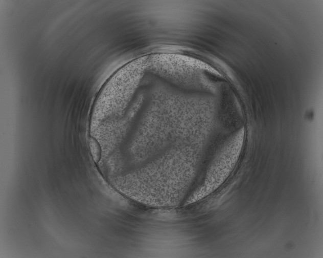 X0000088881194200707061403