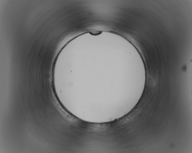 X0000088881195200707061403