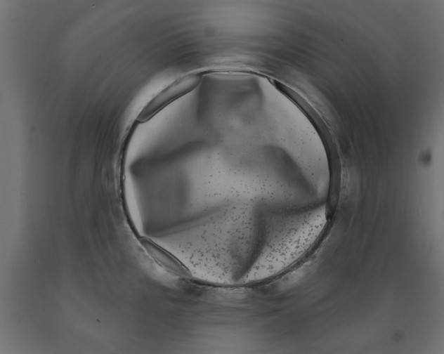 X0000088881196200707061403
