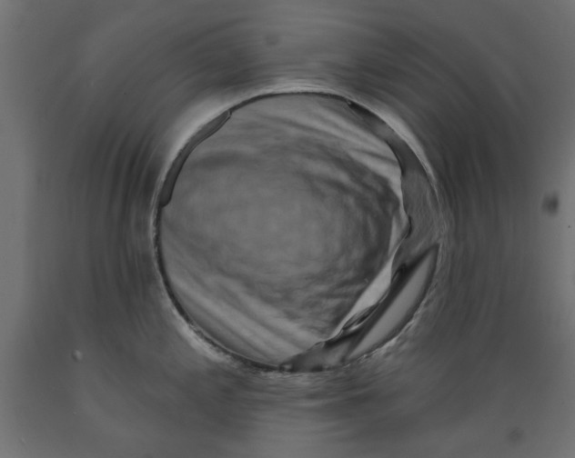 X0000088881197200707061403