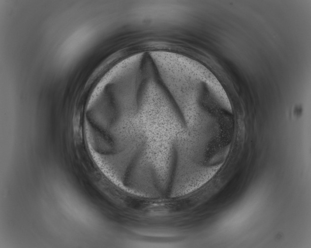 X0000088881198200707061403